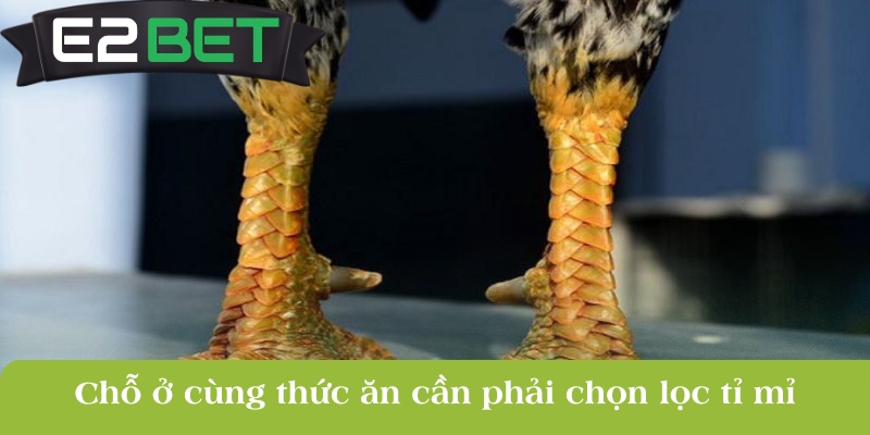 cho o cung thuc an can phai chon loc ti mi